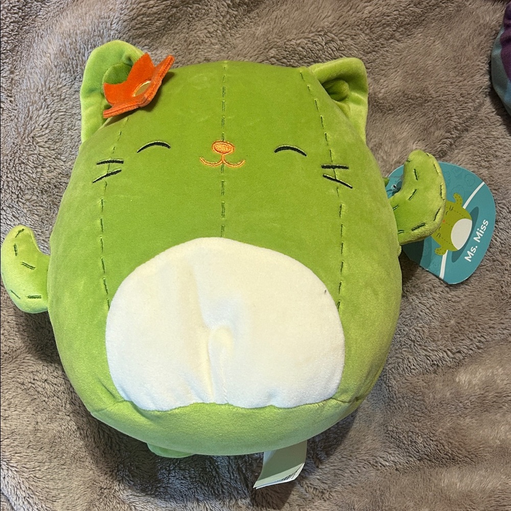 Squishmallows Ms. Miss Green Cat Cactus Plush 7” Stuffed Animal New Tag